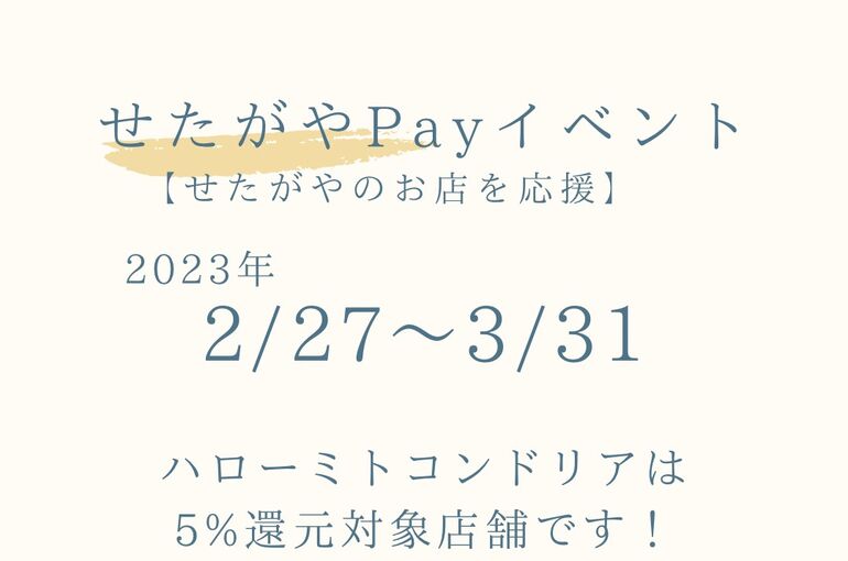 A1323219-6546-4780-8A5E-B7FAA9228FBA